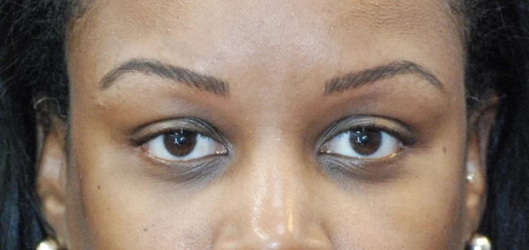Ombre Permanent Makeup for the Brows
